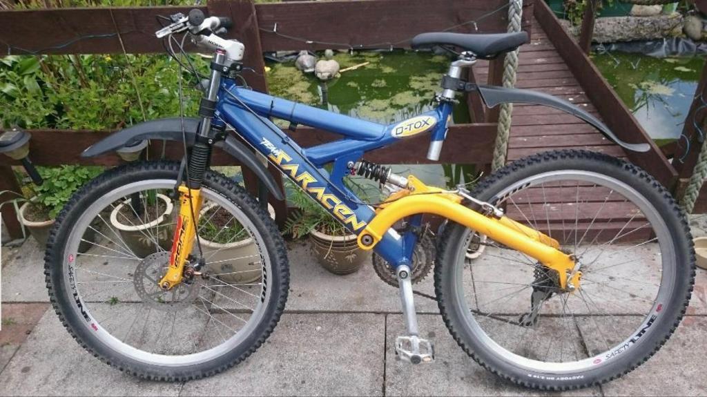 saracen dtox